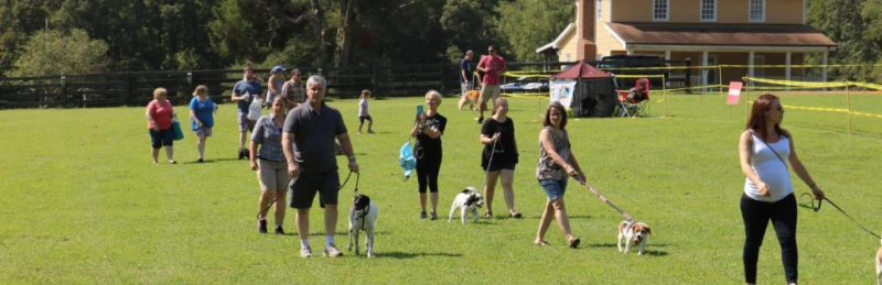 Canine-Con 2026