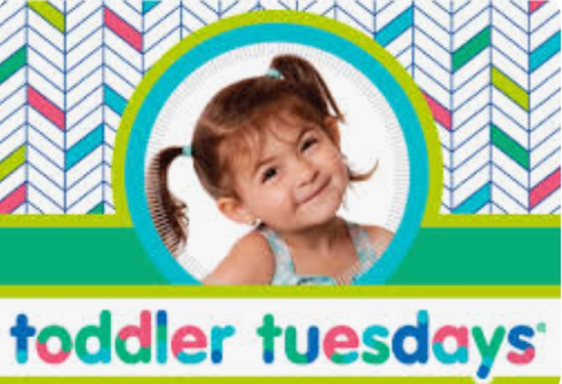 Toddler Tuesday