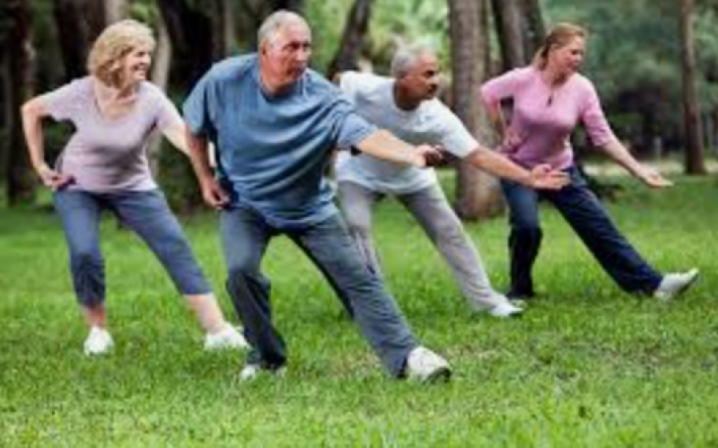 Tai Chi: Downtown Cary Park