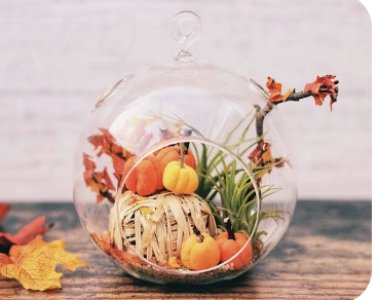Autumnal Terrarium Building Workshop