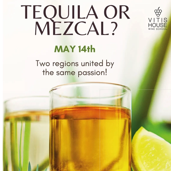 Tequila or Mezcal?