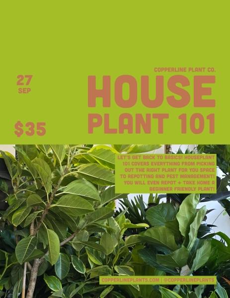 Houseplant 101