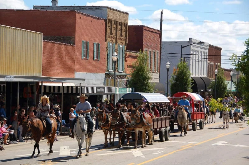 Benson Mule Days