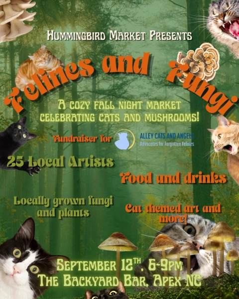 Felines and Fungi Night Market with The Backyard Bar