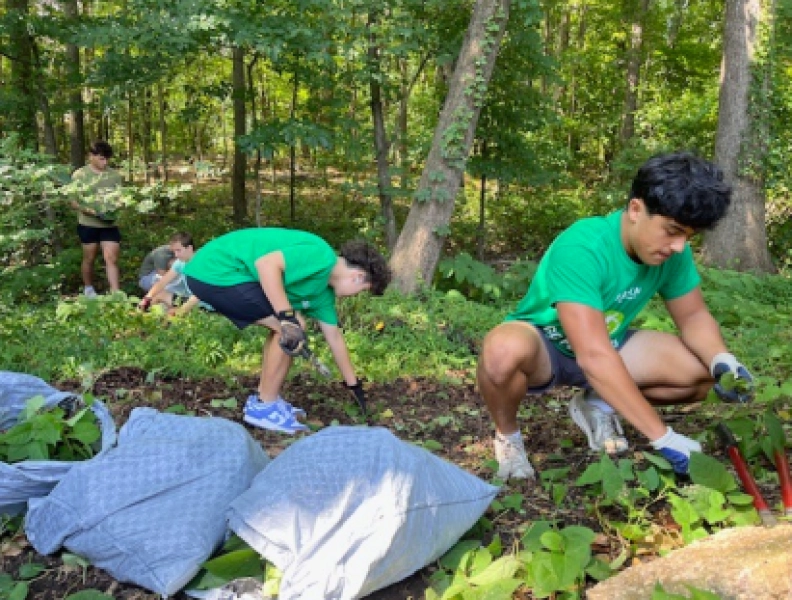 Invasive Plant Removal Workday