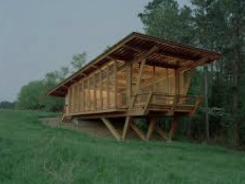 Migrating Monarchs
