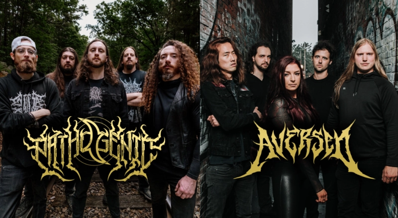 Pathogenic and Aversed Live in Concert
