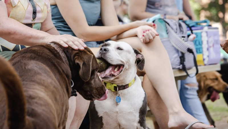 Yappy Hour at Dix Park