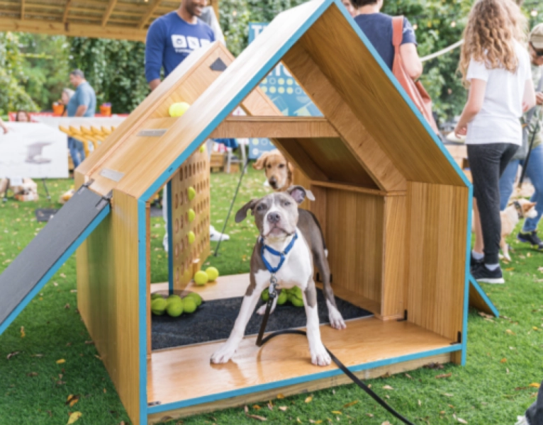 Barkitecture 2026