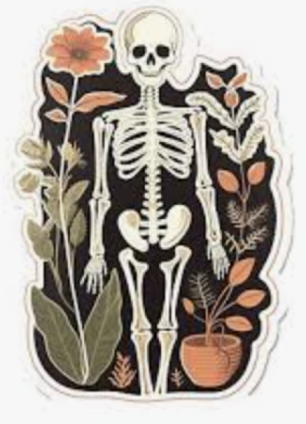Bones & Botanicals