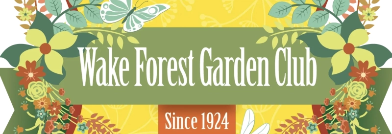 Autumn Art & Plant Festival