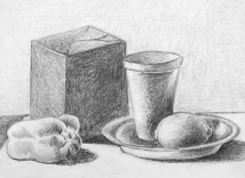 Intro to Still Life Drawing