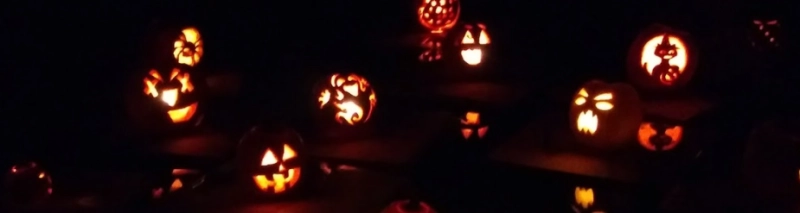 Pumpkin Flotilla: 2026 Pumpkin Drop Off
