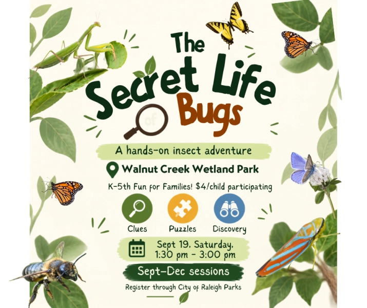 The Secret Lives of Bugs: A Nature Mystery Adventure