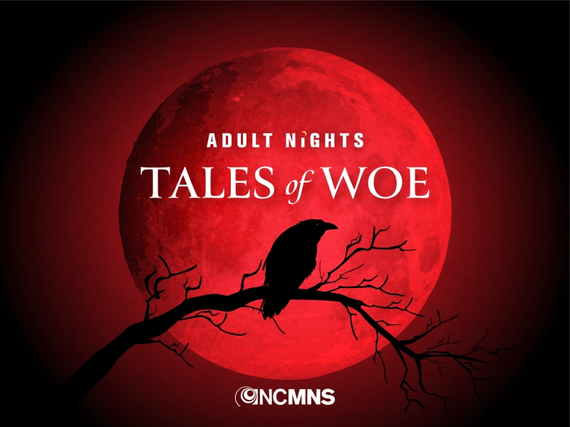 Adult Nights: Tales of Woe