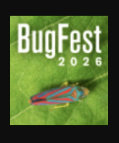 BugFest 2026
