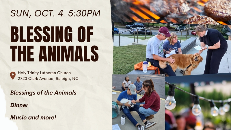 Blessing of the Animals