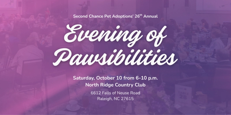 26th Annual Evening of Pawsibilities