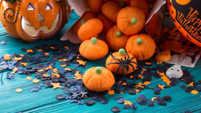 Transportation and Treats Community Event
