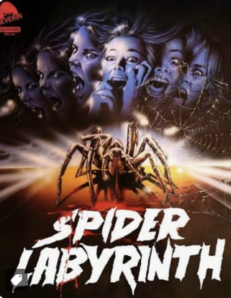 The Spider Labyrinth