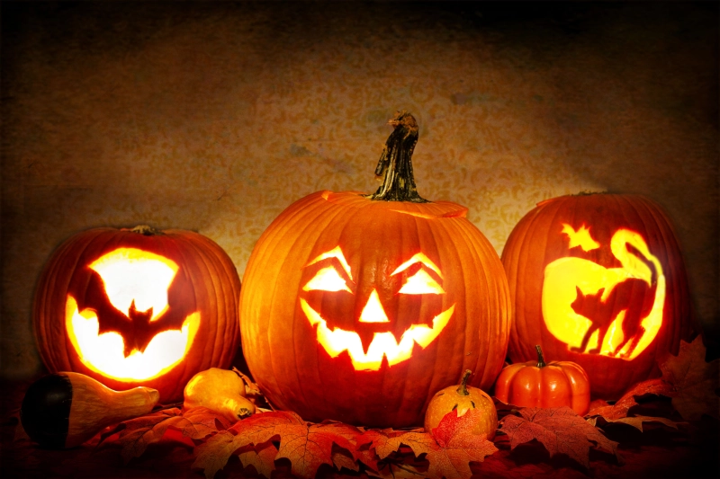 Pumpkin Carving at Trophy Brewing