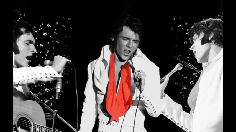 ELVIS: In Person - Starring Matt Stone