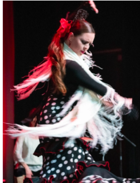 Noche Flamenca