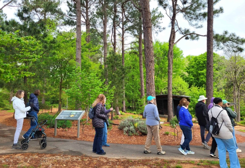 Park Tour: Art and Sculpture