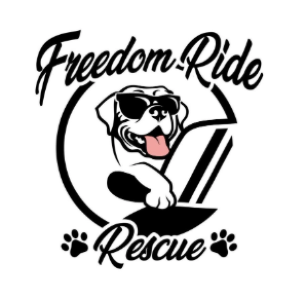 First Friday Adoption Event at The Morning Times