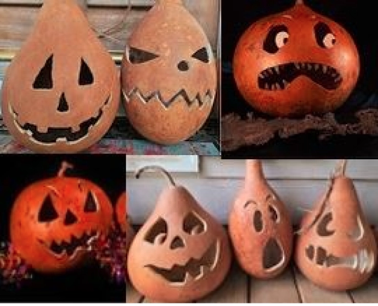 Jack-o-Lantern Gourd Decorating Workshop