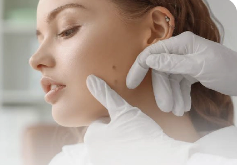 Science Detectives: Beyond the Study Skin