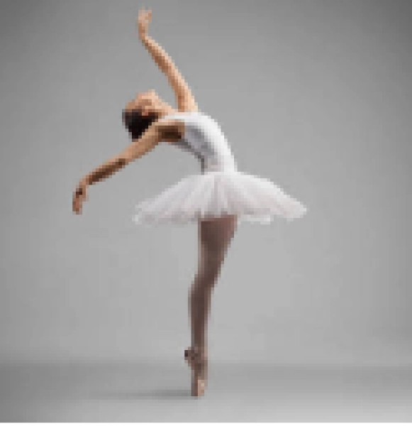 Meet Our Guest Stars: An Afternoon with Carolina Ballet