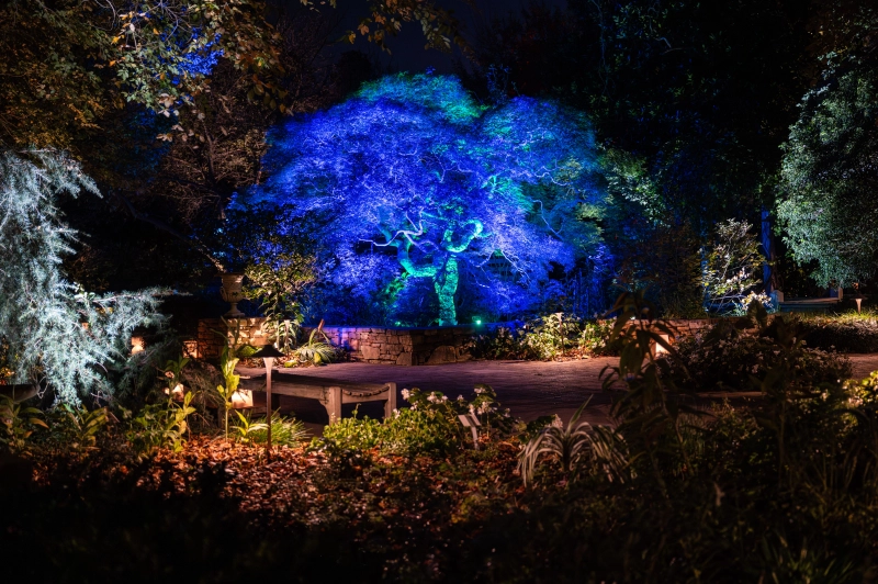 Moonlight in the Gardens