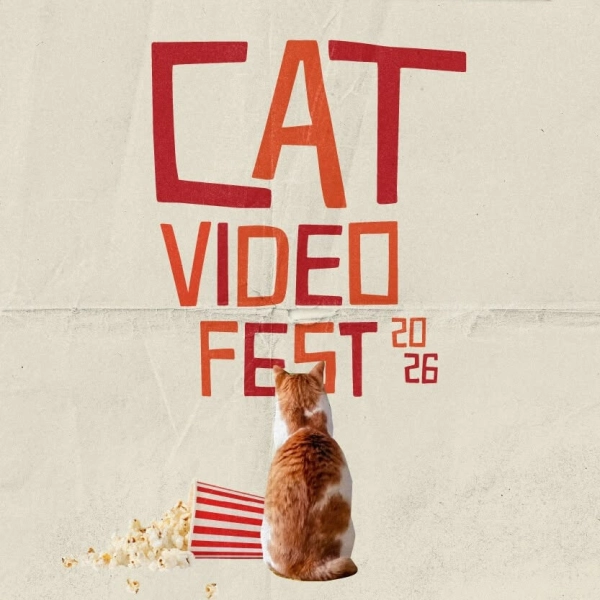 CatVideoFest