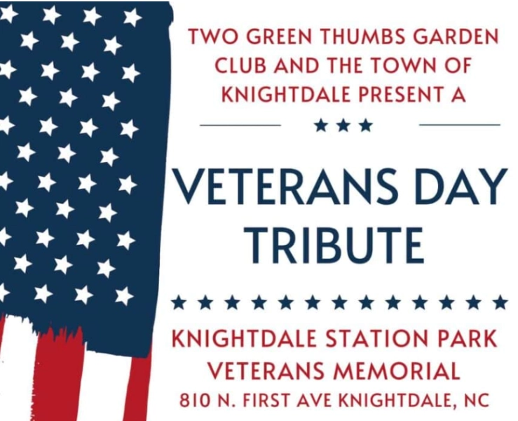 Veterans Day Tribute
