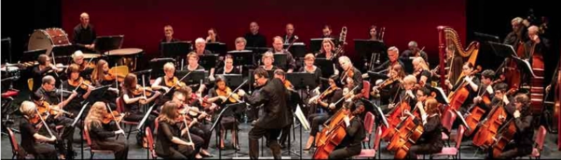 Raleigh Symphony Orchestra: Fairy Tales and Tutus