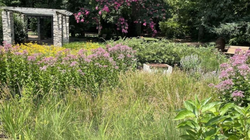 Rain Garden and Rain Barrel Workshop