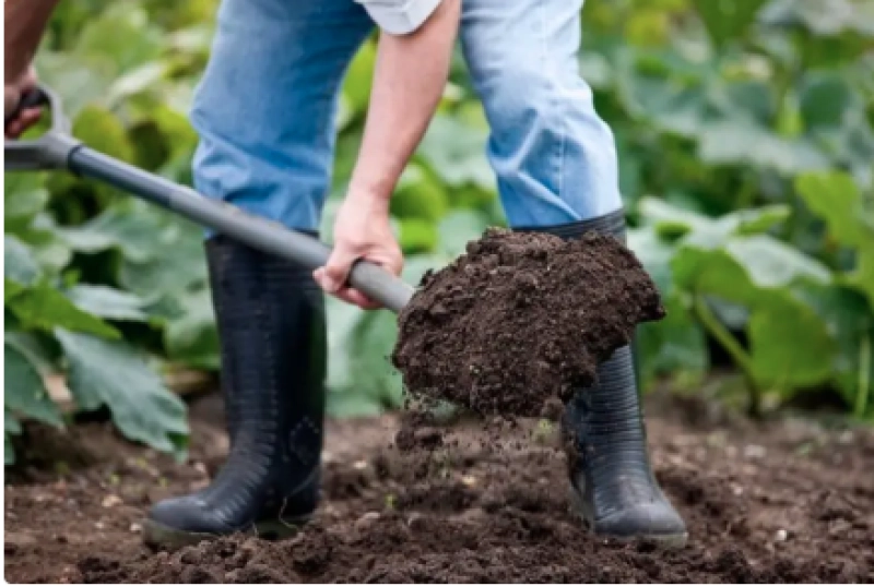 Plant It Right: Trees & Shrubs Seminar