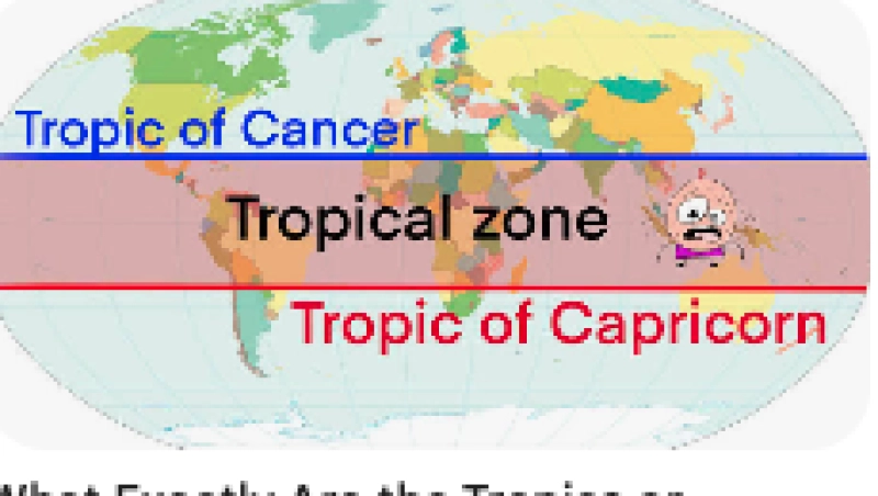 Science Detectives: Tropical Biodiversity