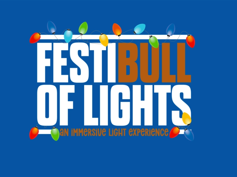FestiBull of Lights