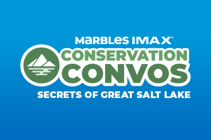 Conservation Convos: Secrets of Great Salt Lake