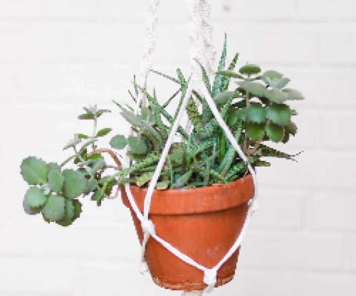 Skillpop Class: Macrame Plant Hanger Workshop