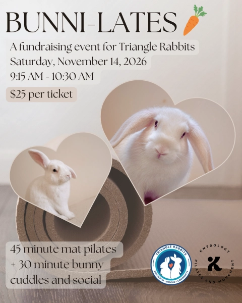 Bunni-lates Fundraising Event for Triangle Rabbits