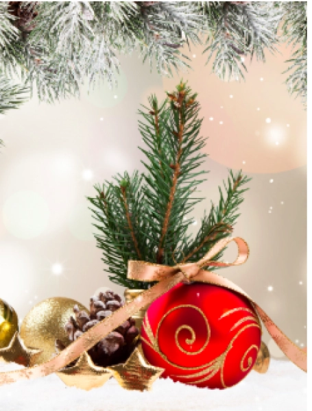 Fuquay-Varina Chorale Holiday Show: Blessings