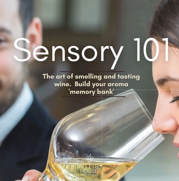 Sensory 101: Wine Tasting Fundamentals