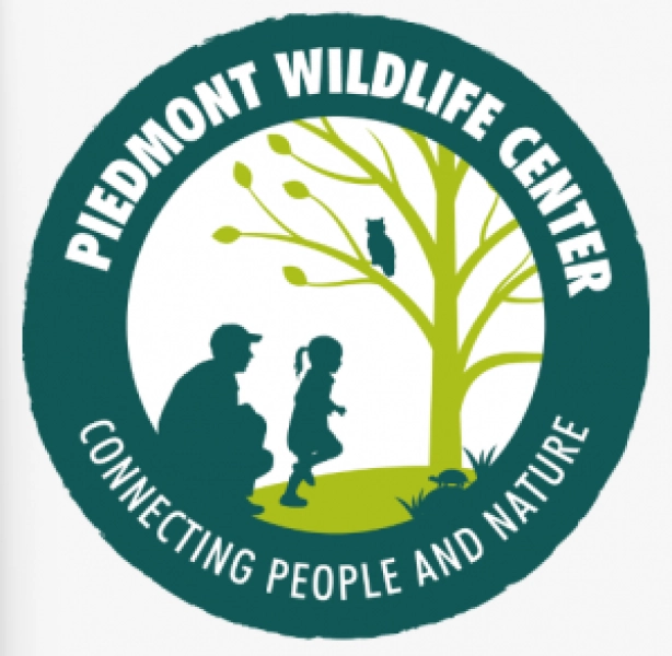 Yates Mill Wild Adventure Day for Junior Naturalists
