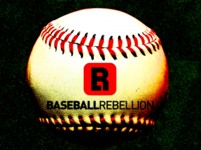 Baseball Rebellion: Indoor BaseballSoftball Skills Camp
