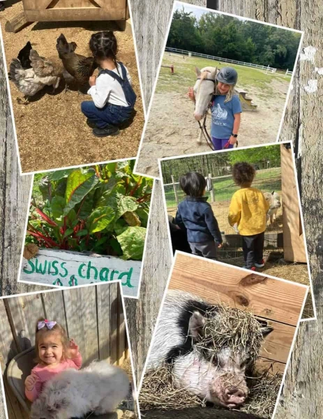 Sunrise Farm Open Farm Saturdays
