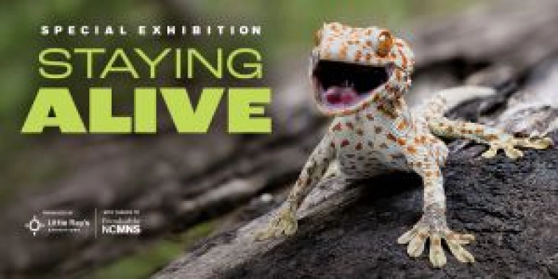 Staying Alive Nature's Ultimate Defense Exhibition
