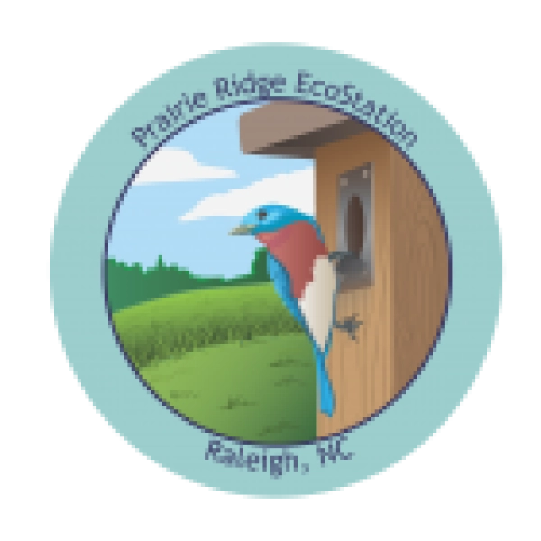 Bird Watching for Beginners at Prairie Ridge Ecostation